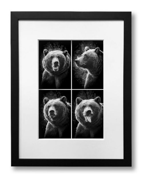 Bear in a PhotoBooth framed