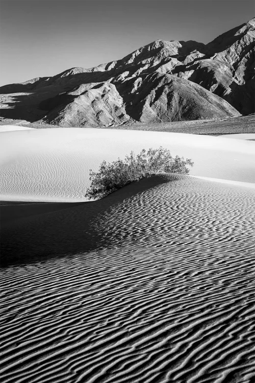 Death Valley 1Q2A7726-1