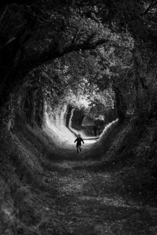Terror of the Tree Tunnel