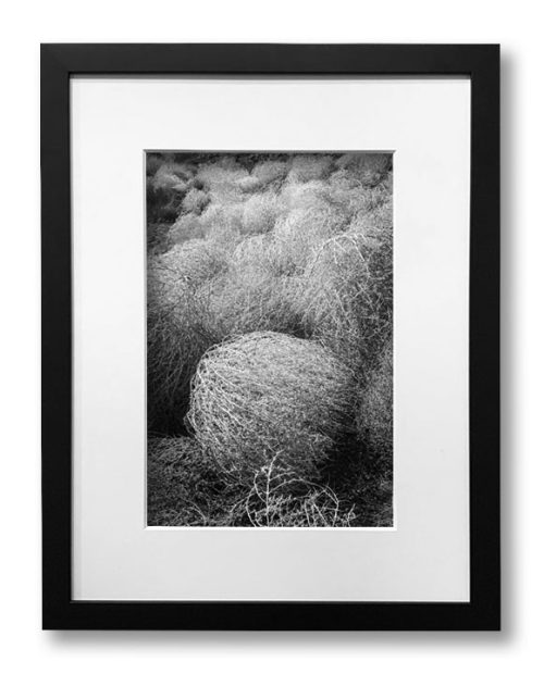 Tumbleweeds framed